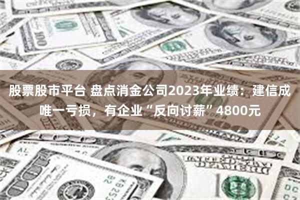 股票股市平台 盘点消金公司2023年业绩：建信成唯一亏损，有企业“反向讨薪”4800元