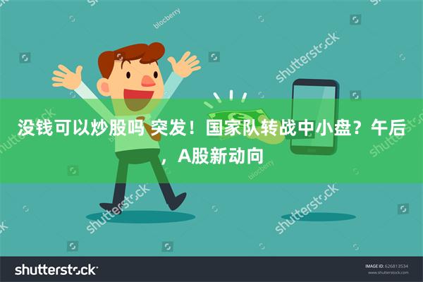 没钱可以炒股吗 突发！国家队转战中小盘？午后，A股新动向