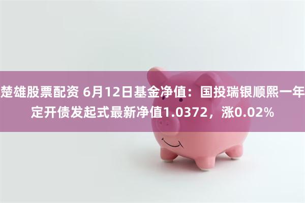 楚雄股票配资 6月12日基金净值：国投瑞银顺熙一年定开债发起式最新净值1.0372，涨0.02%