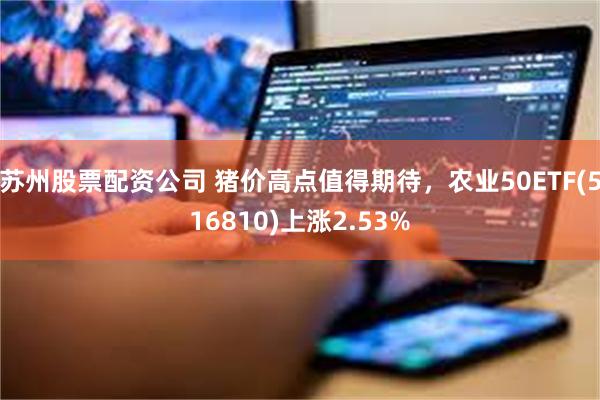 苏州股票配资公司 猪价高点值得期待，农业50ETF(516810)上涨2.53%