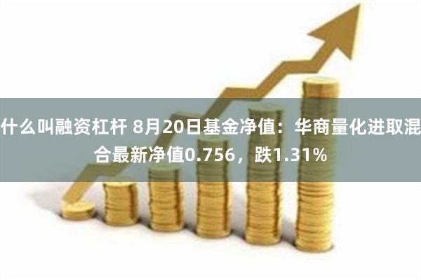 什么叫融资杠杆 8月20日基金净值：华商量化进取混合最新净值0.756，跌1.31%