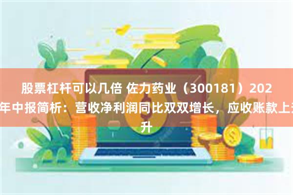 股票杠杆可以几倍 佐力药业（300181）2024年中报简析：营收净利润同比双双增长，应收账款上升