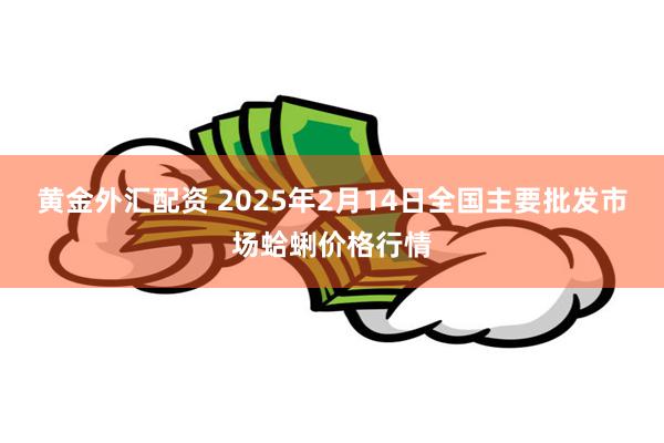 黄金外汇配资 2025年2月14日全国主要批发市场蛤蜊价格行情