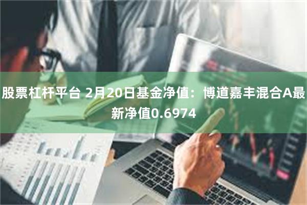 股票杠杆平台 2月20日基金净值：博道嘉丰混合A最新净值0.6974